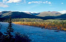 Alaska, Nordamerika, USA: Flusslandschaft Alaskas